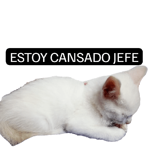 Memes carteles 14