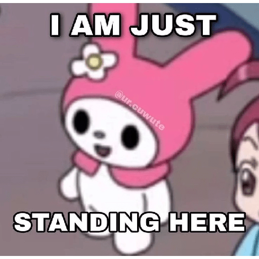SKYNANI MYMELODY×KUROMI 3 22
