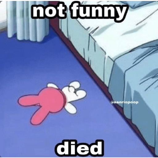 SKYNANI MYMELODY×KUROMI 3 12