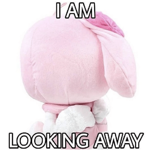 SKYNANI MYMELODY×KUROMI 3 13