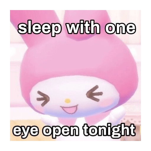 SKYNANI MYMELODY×KUROMI 3 14