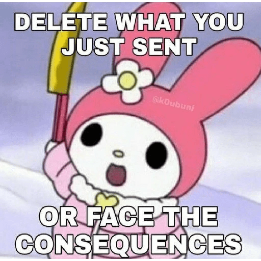 SKYNANI MYMELODY×KUROMI 3 17
