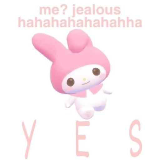 SKYNANI MYMELODY×KUROMI 3 21