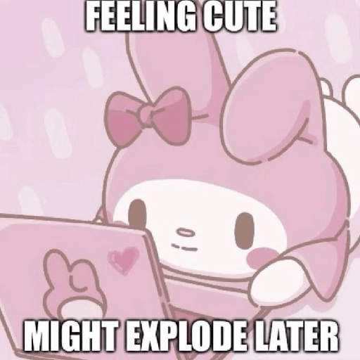 SKYNANI MYMELODY×KUROMI 3 27