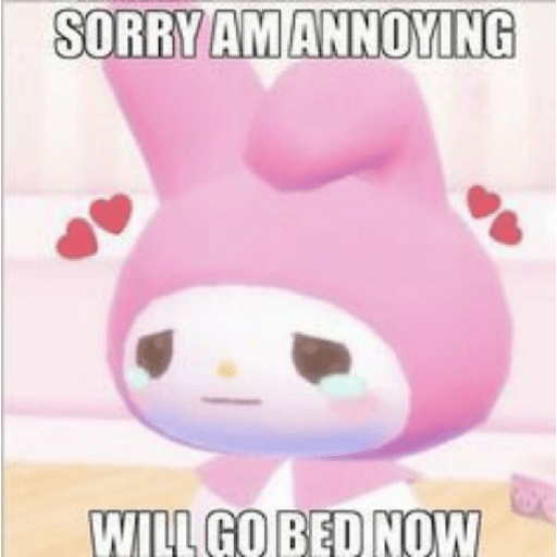 SKYNANI MYMELODY×KUROMI 2 29
