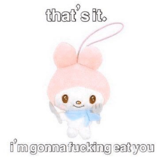 SKYNANI MYMELODY×KUROMI 2 27