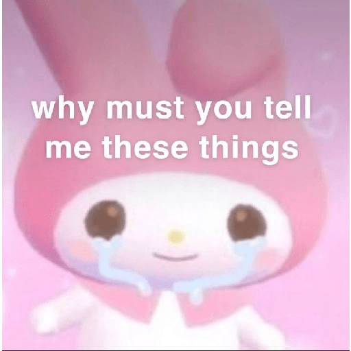 SKYNANI MYMELODY×KUROMI 2 3