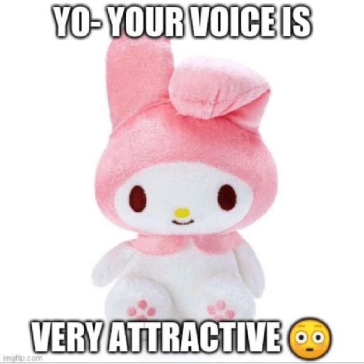 SKYNANI MYMELODY×KUROMI 2 4