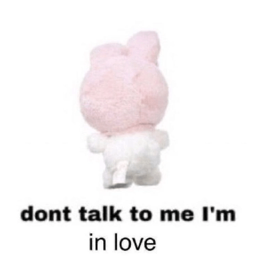SKYNANI MYMELODY×KUROMI 2 13