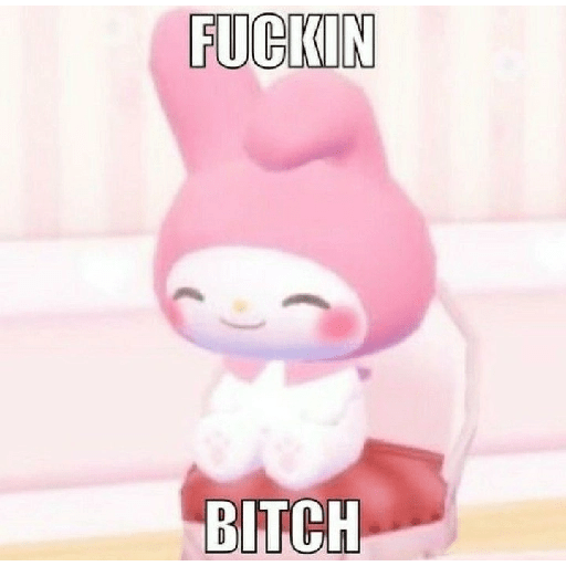 SKYNANI MYMELODY×KUROMI 2 15
