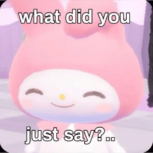 SKYNANI MYMELODY×KUROMI 2 19