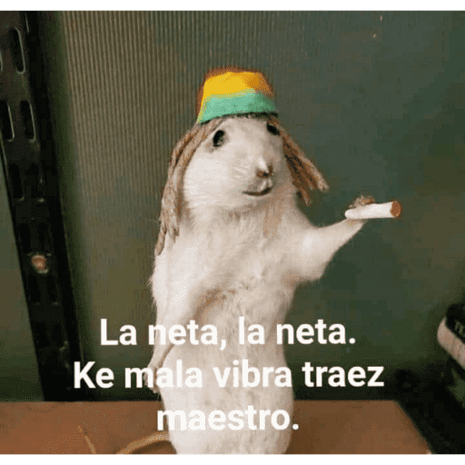 Mis pegatinas 26