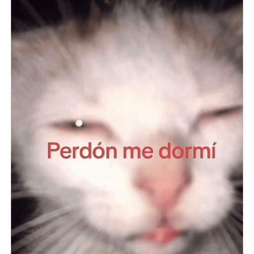 Mis pegatinas 20