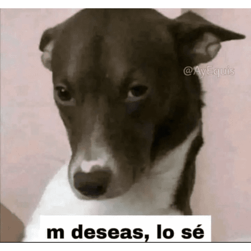 Mis pegatinas 24