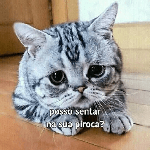 Gatos v4 18