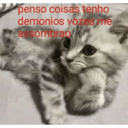 Gatos v4 13