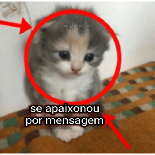 Gatos v4 12