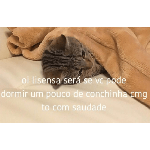 Gatos v4 21