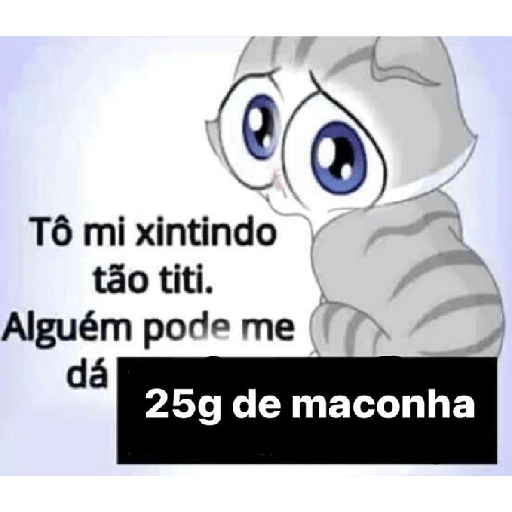 Gatos v4 23