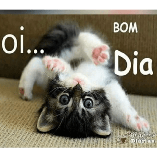 Andreia 21