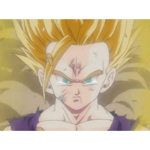 Goku 12