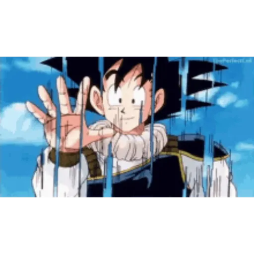 Goku 6