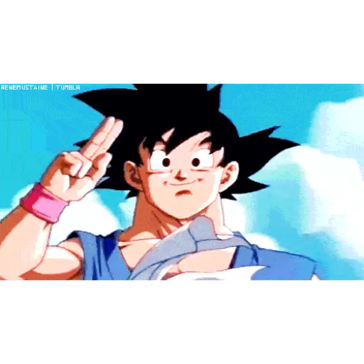Goku 20