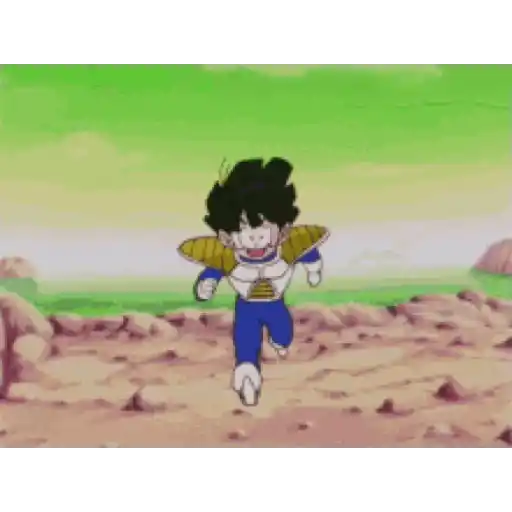 Goku 13