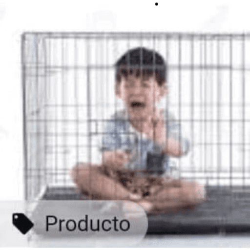 To desempregado pai 12
