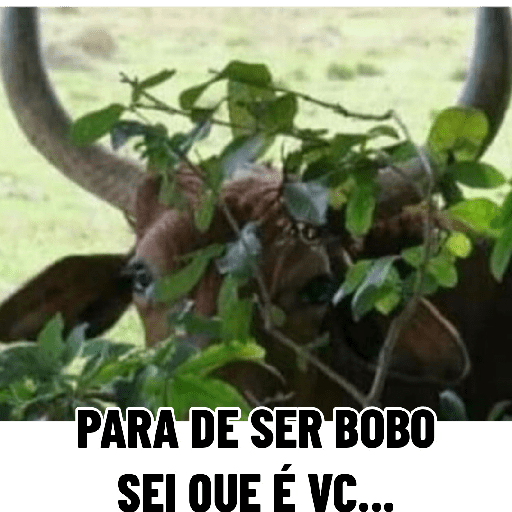 NOVO 4
