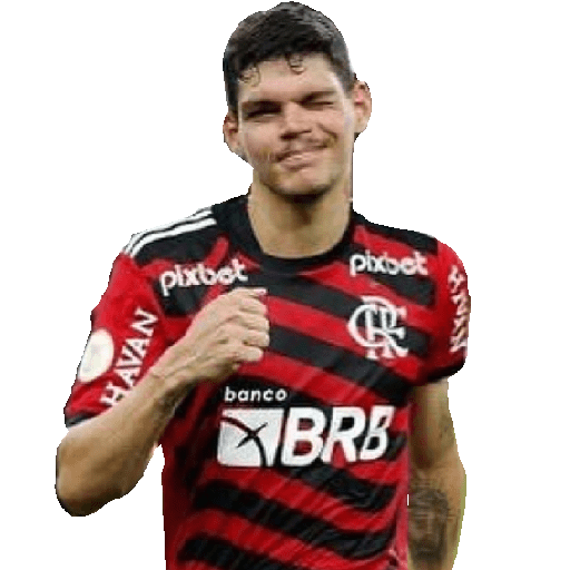 NOVO 5