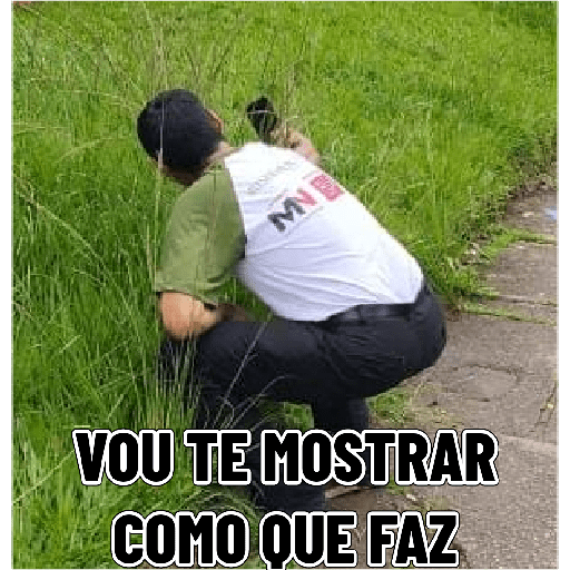 NOVO 27