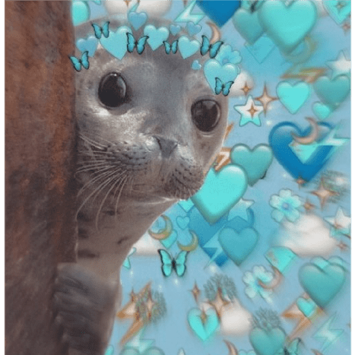 Focas