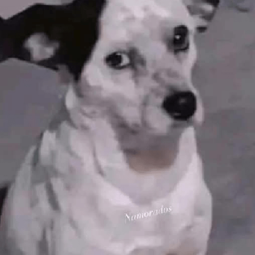 Sei lá 12