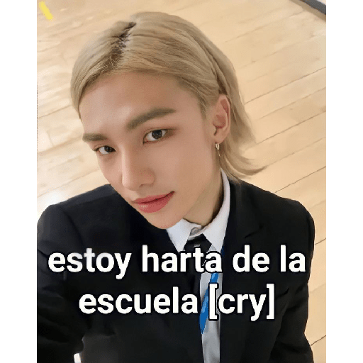 Skz by Carla<3 (3) 24