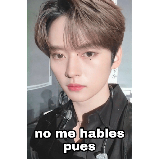 Skz by Carla<3 (3) 30