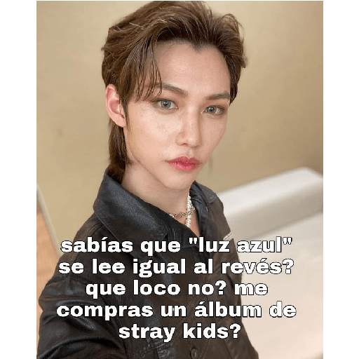 Skz by Carla<3 (3) 18