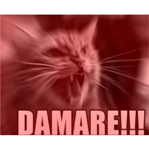 Random memes 2 2