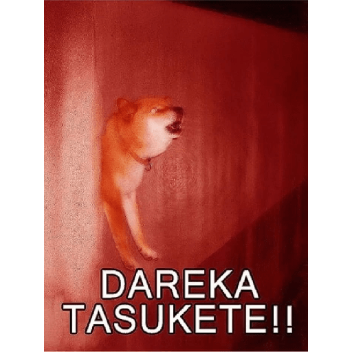 Random memes 2 22