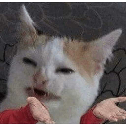 Random memes 2 27