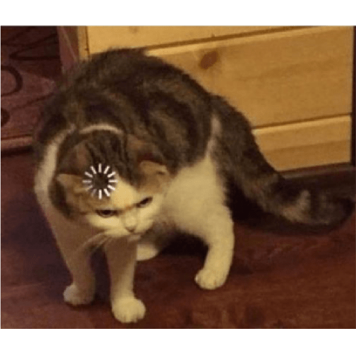 Random memes 2 26
