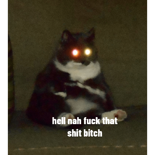 Random memes 2 29