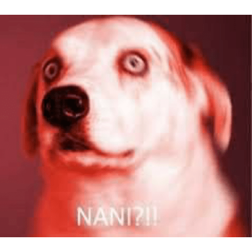 Random memes 2 16