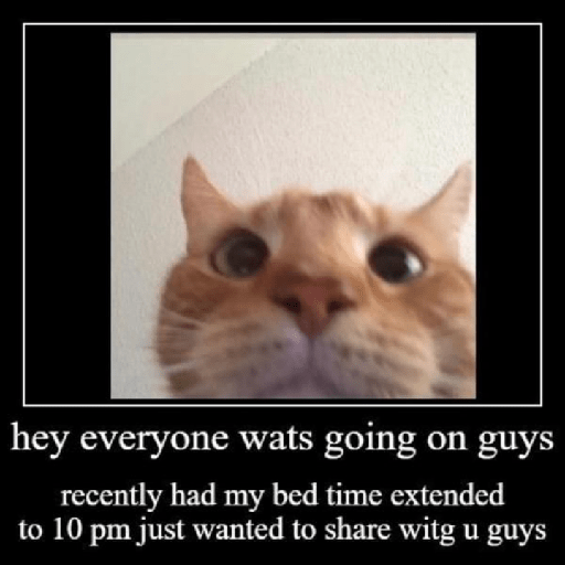 Random memes 4 1