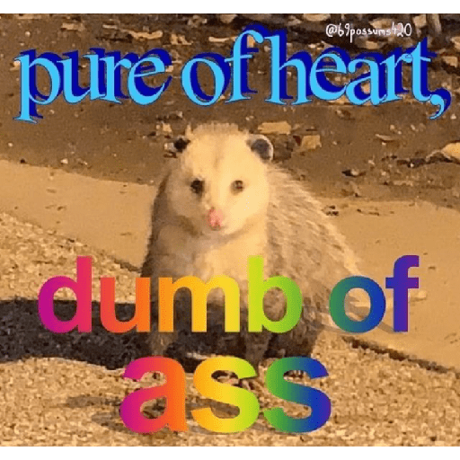 Random memes 4 6