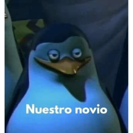 Ramdon 21