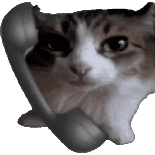 Kakakak 6