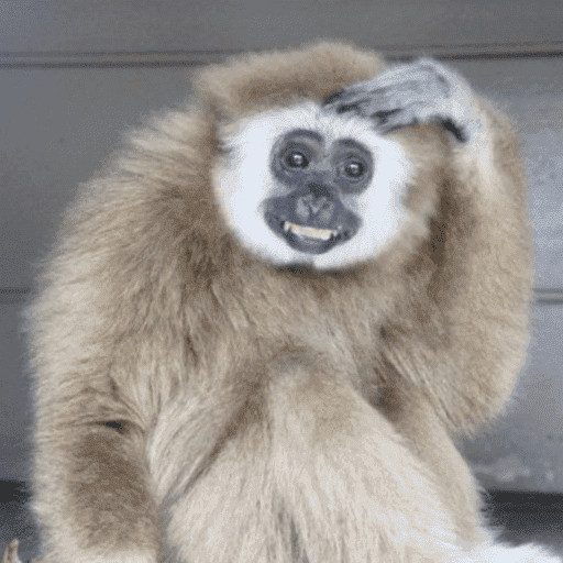 Macacos me mordam 9