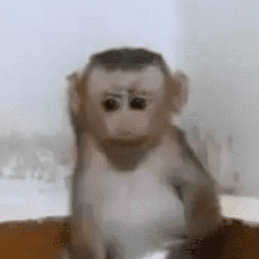 Macacos me mordam 30