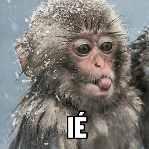 Macacos me mordam 23